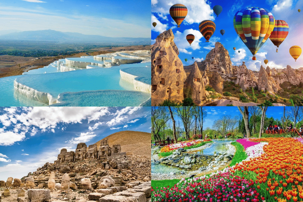 onthegotours.com, makemytrip.com, memphistour.com, elyusra.com