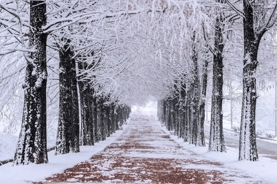 Salinan dari BEFORE_20251027_131057_0001.png