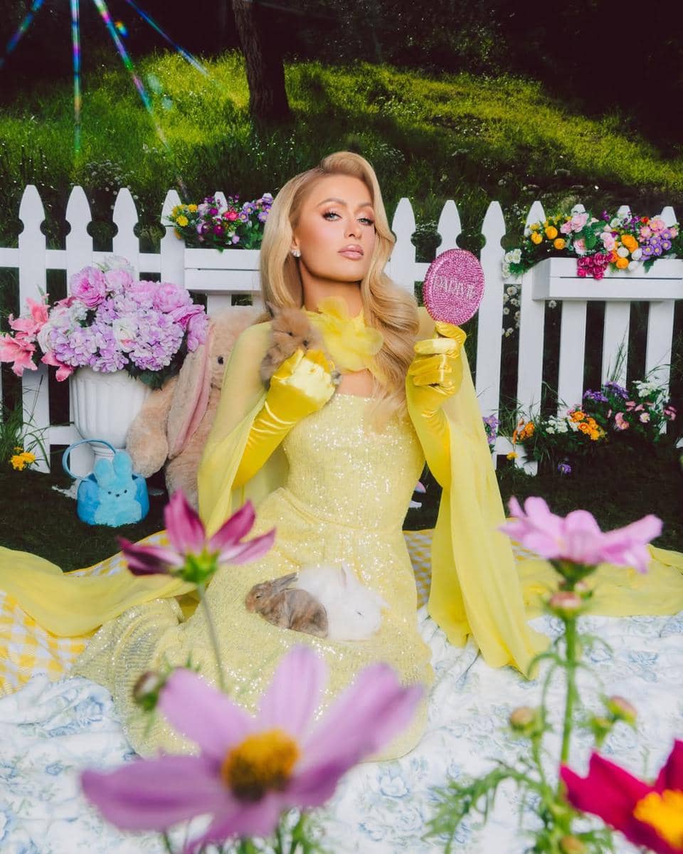 Sumber kekayaan Paris Hilton