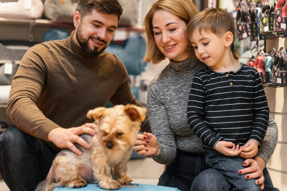 Seekor anjing bersama pemilik di pet shop.
