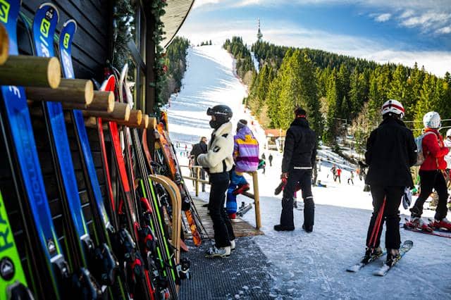 yasen-iliev-tNs-euF00Ss-unsplash (1).jpg