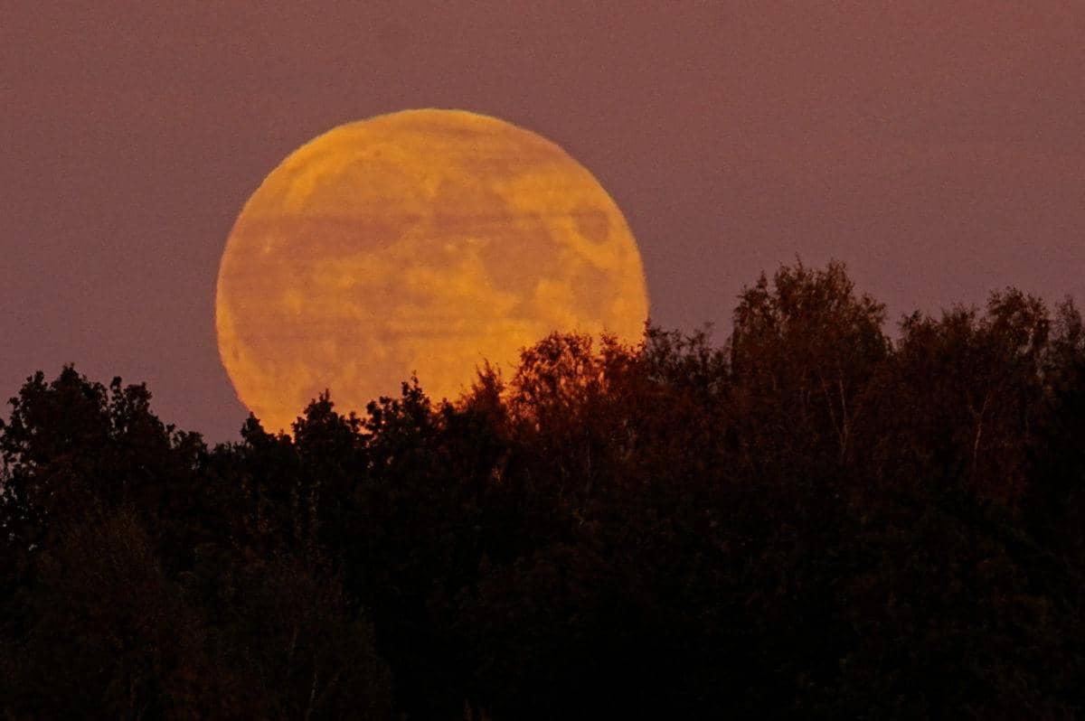 2024-10-17T000000Z_355553630_RC2FMAAE8CYB_RTRMADP_3_SUPERMOON-LATVIA-1200x798.jpg