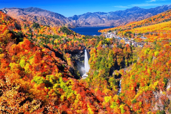 Salinan dari BEFORE_20251115_054329_0006.png