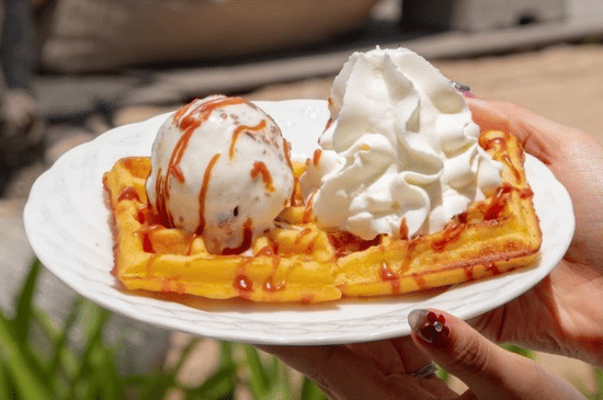 Salinan dari BEFORE_20251115_063505_0001.png