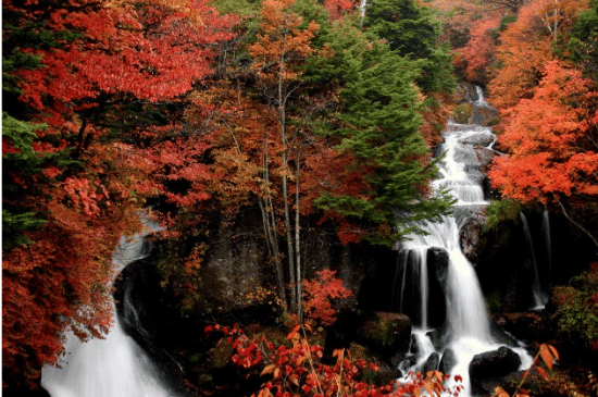 Salinan dari BEFORE_20251115_054328_0001.png