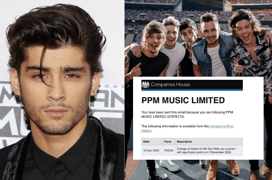 Salinan dari BEFORE_20251117_092949_0000.png