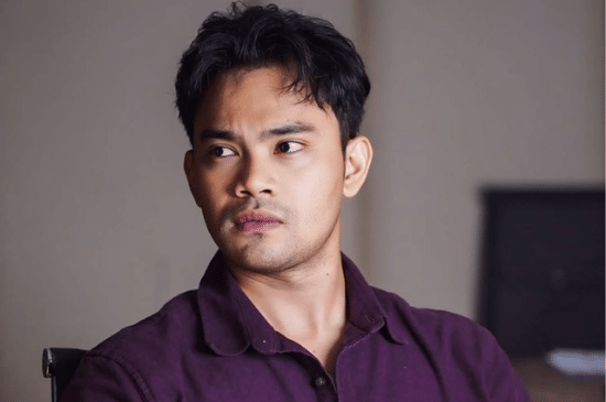 Profil Insanul Fahmi,