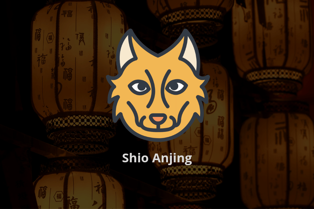 Ramalan pekerjaan yang baik untuk 12 shio di tahun 2026