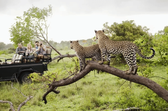 Salinan dari Salinan dari BEFORE_20251206_144656_0000.png