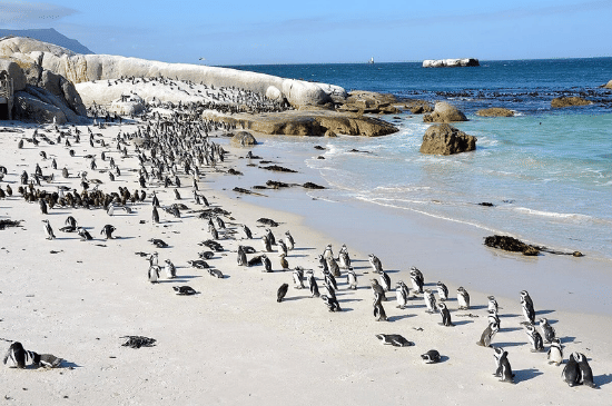 Salinan dari Salinan dari BEFORE_20251206_144656_0004.png