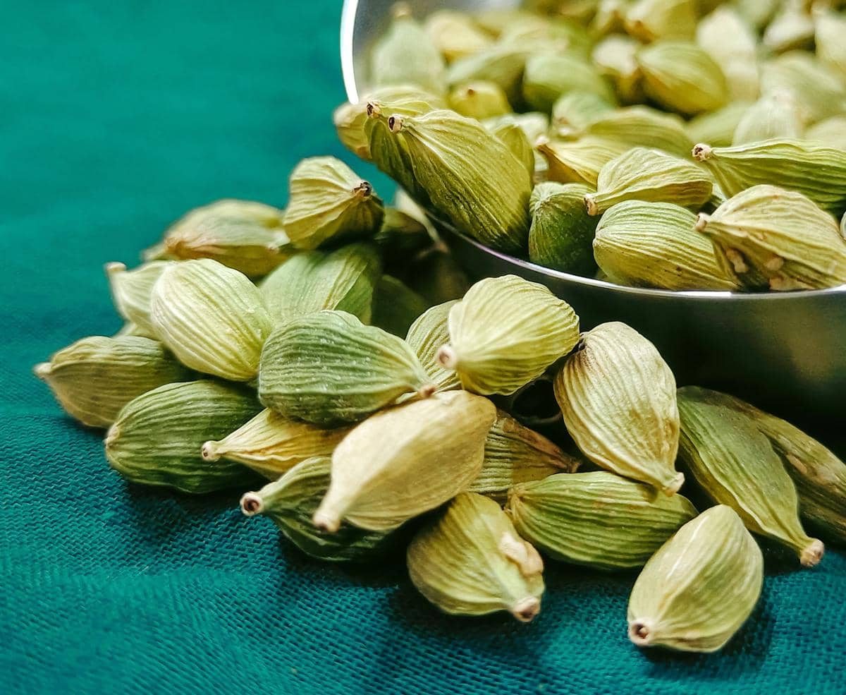 Cardamom Wangi Apa