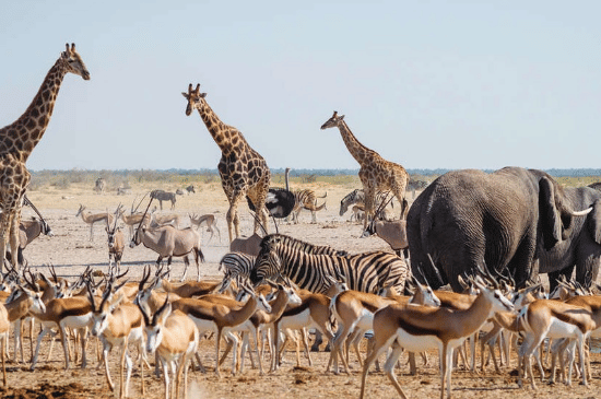 Salinan dari Salinan dari BEFORE_20251207_092931_0001.png