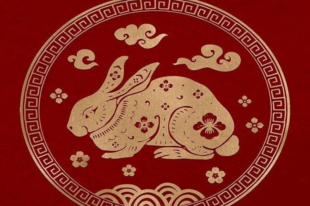 year-rabbit-badge-vector-gold-chinese-horoscope-zodiac-animal-53876-153969-11zon-827689980fc0ea3110d256f7f67e025a.jpeg