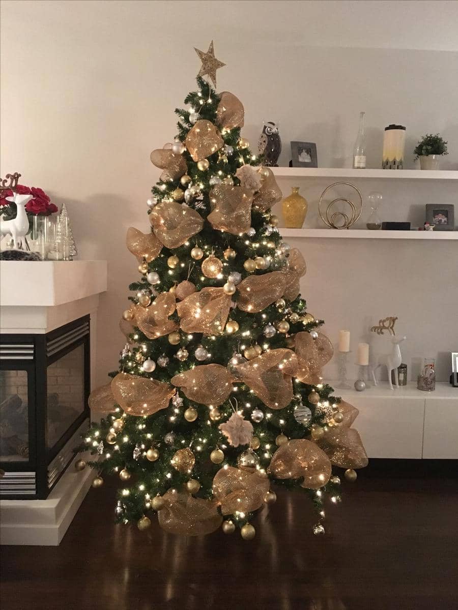 pohon natal pita tule