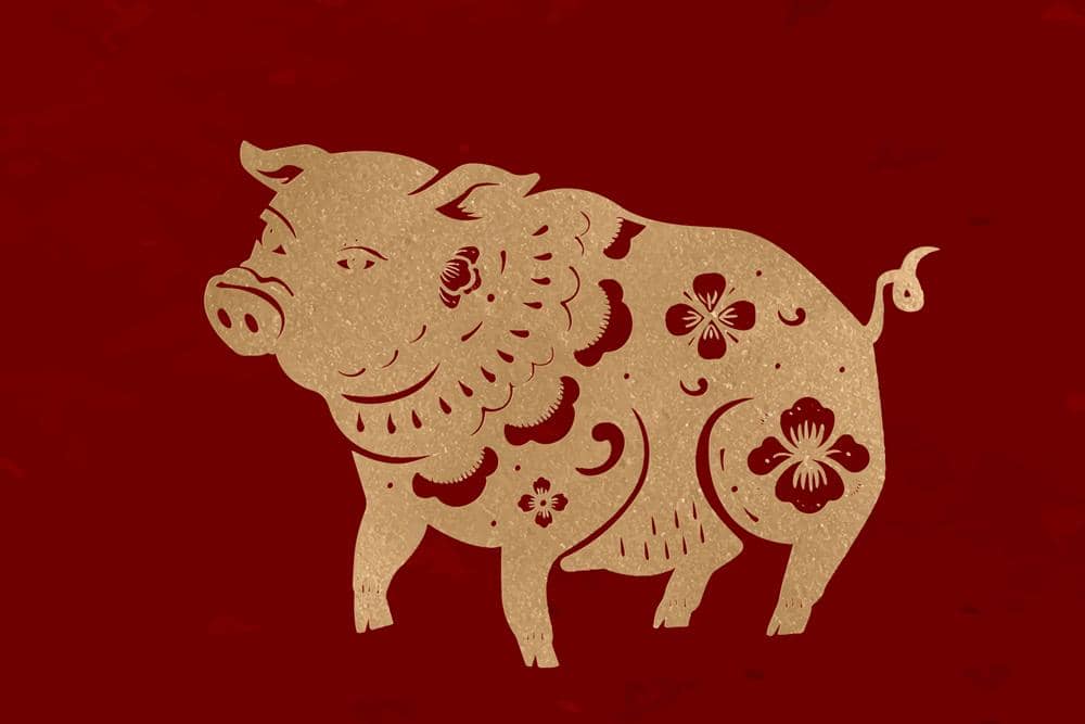 ilustrasi shio Babi (freepik.com/rawpixel.com)