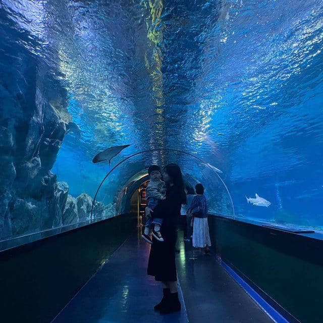 tempat wisata keluarga di Seoul