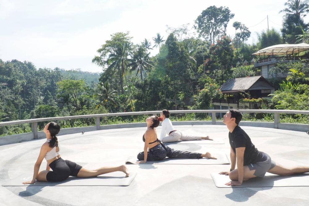 WhatsApp Image 2025-12-10 at 18.14.56.jpeg