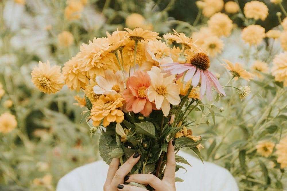 Warna Keberuntungan Shio Kuda Tahun 2026