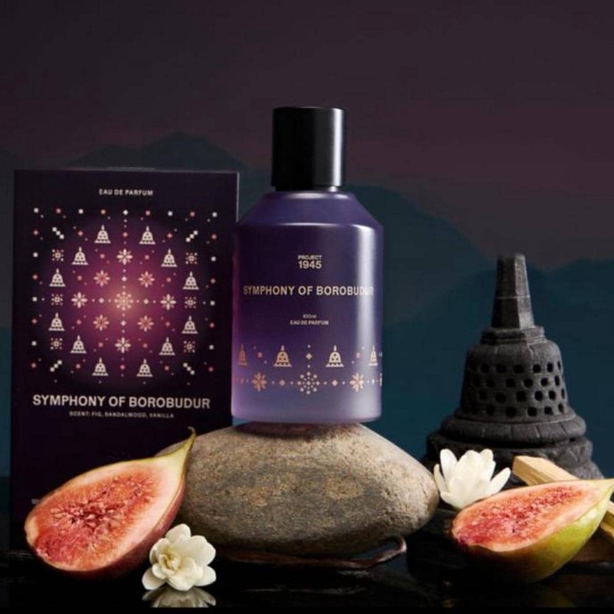 Symphony of Borobudur