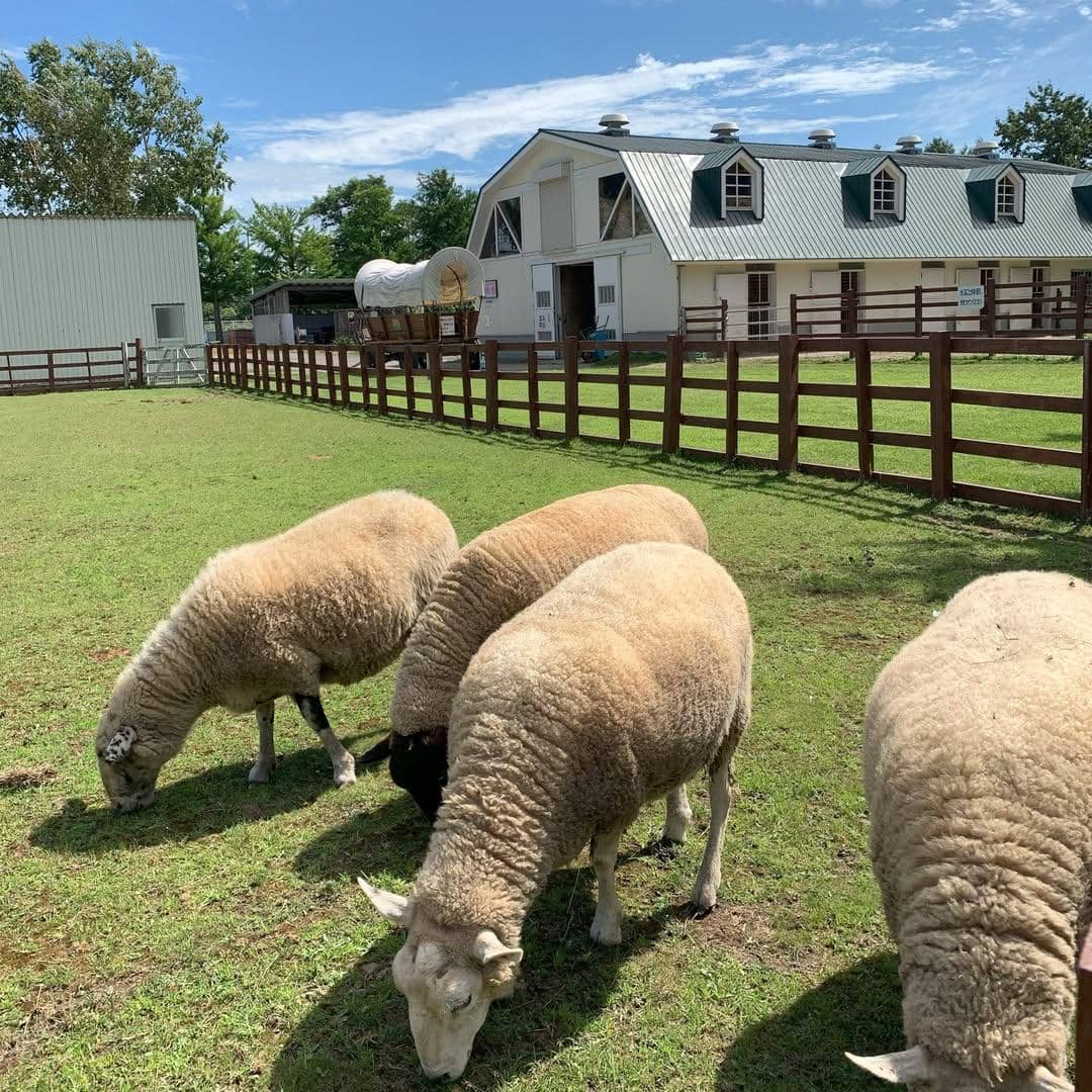 tempat wisata ramah keluarga di Sapporo