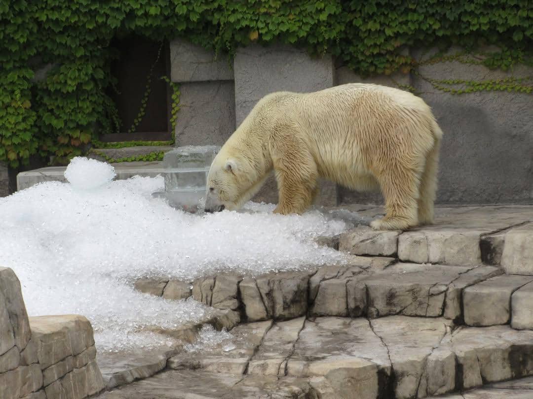 tempat wisata ramah keluarga di Sapporo