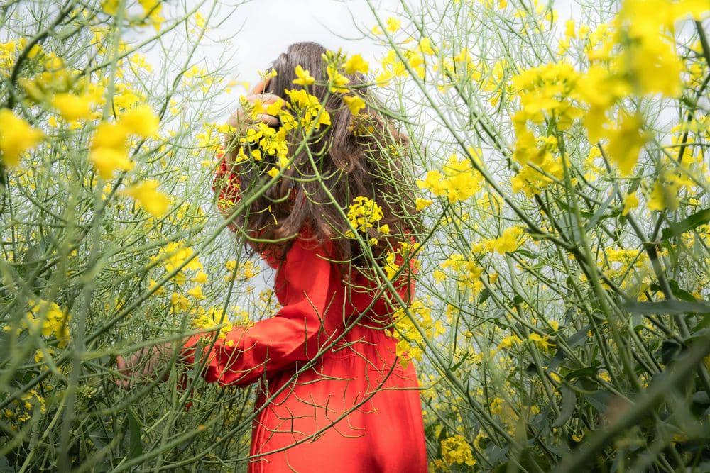 Warna Keberuntungan Shio Anjing Tahun 2026
