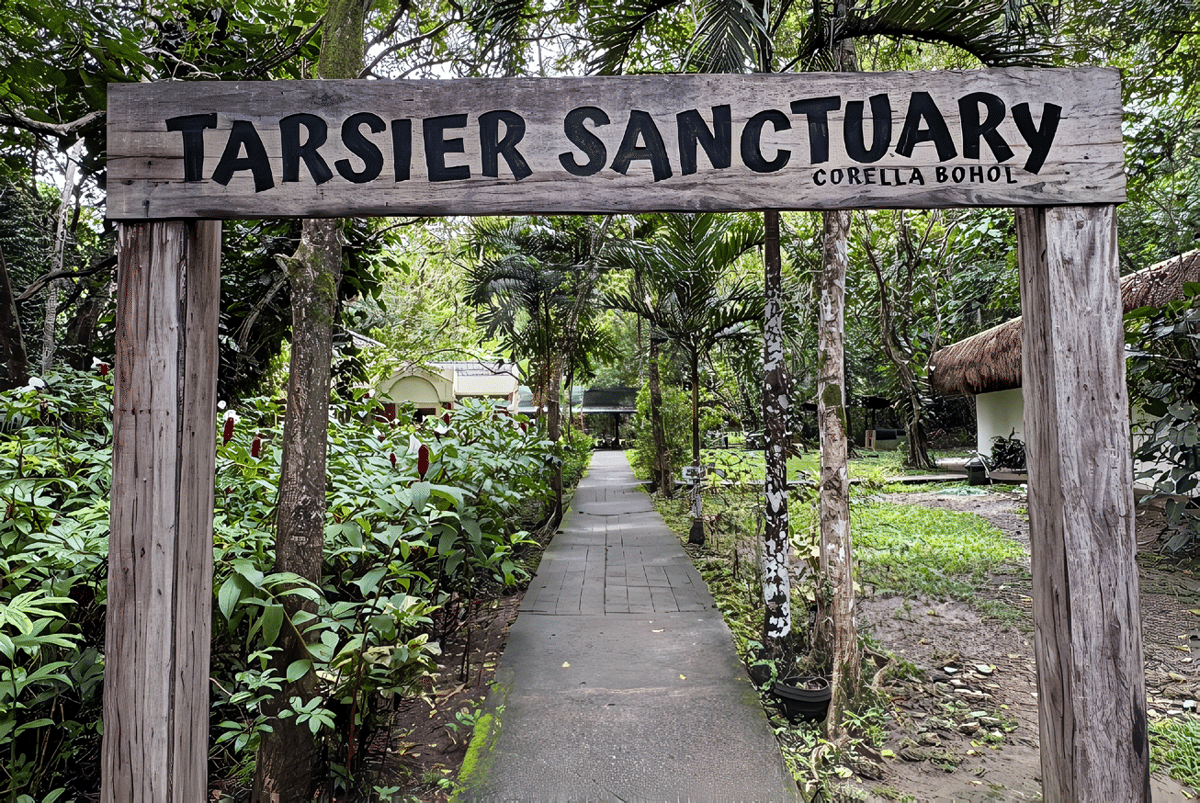 Tarsier and Wildlife Sanctuary