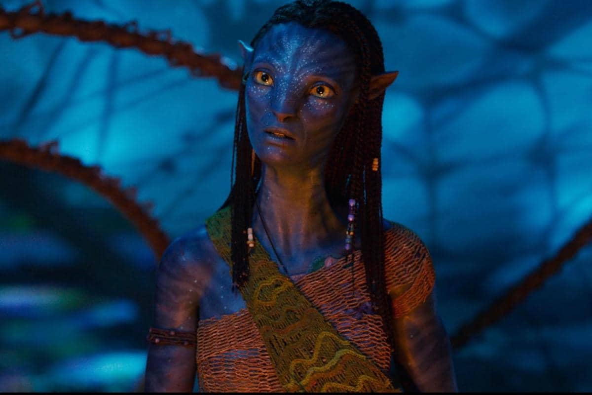 Screenshot 2025-12-25 at 19.43.14.jpg