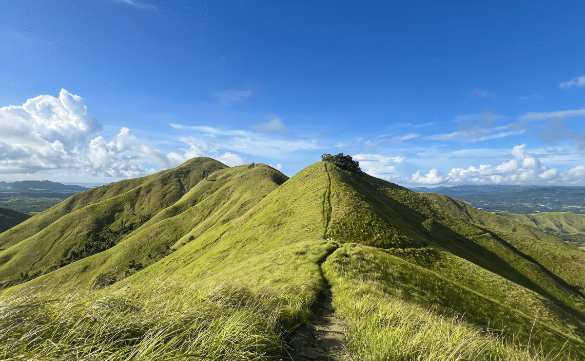 The Alicia Panoramic Park