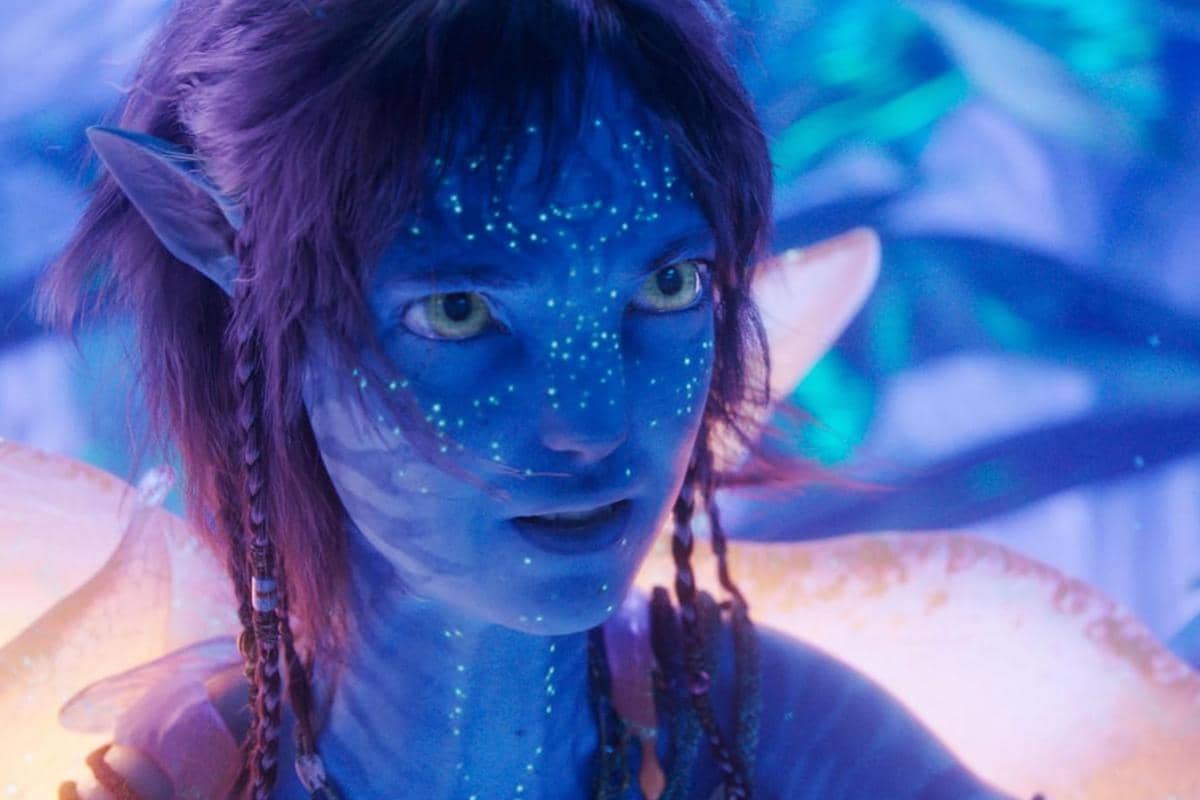 Screenshot 2025-12-25 at 19.34.33.jpg