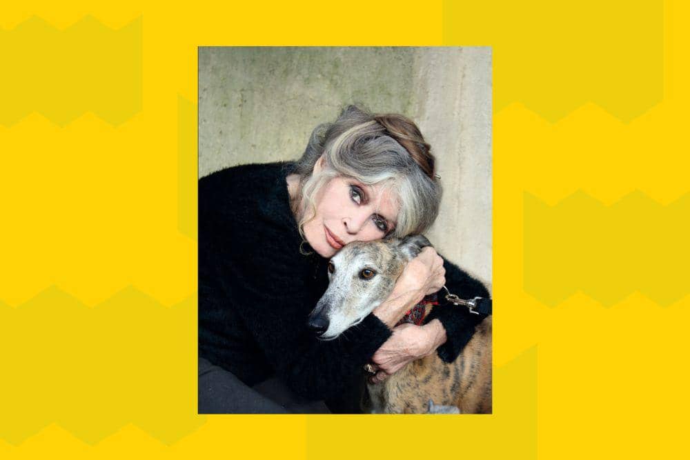 Profil Brigitte Bardot