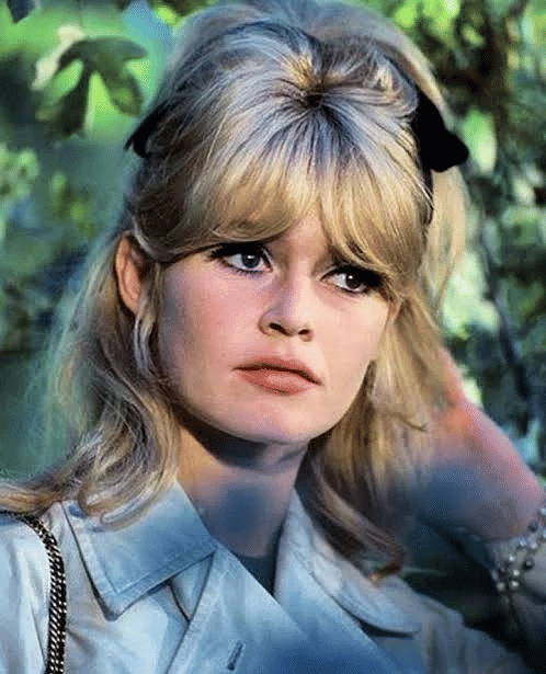 Kontroversi dan Masalah Hukum Brigitte Bardot