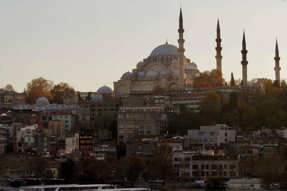 unsplash Lesya Soboleva.jpg