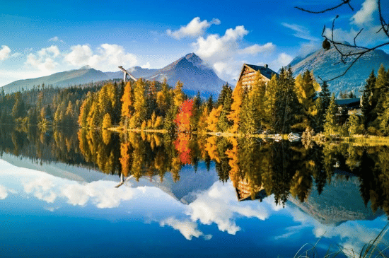 Salinan dari Salinan dari BEFORE_20260106_150144_0007.png