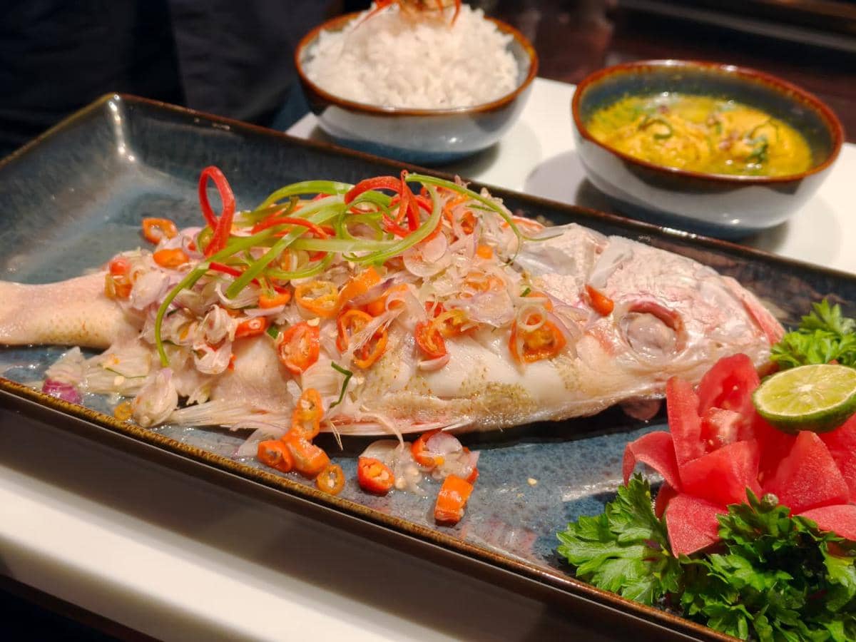 Wyndham Casablanca.jpeg