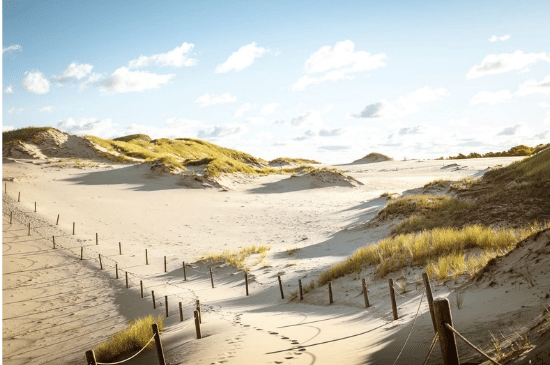 Salinan dari Salinan dari BEFORE_20260110_192139_0001.png