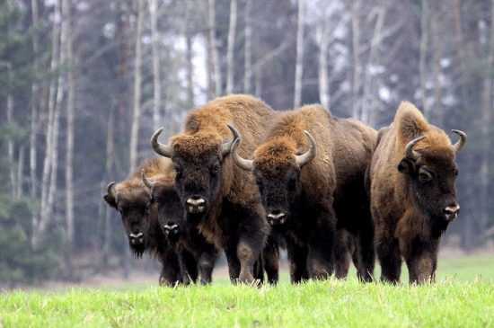 Salinan dari Salinan dari BEFORE_20260110_192140_0006.png