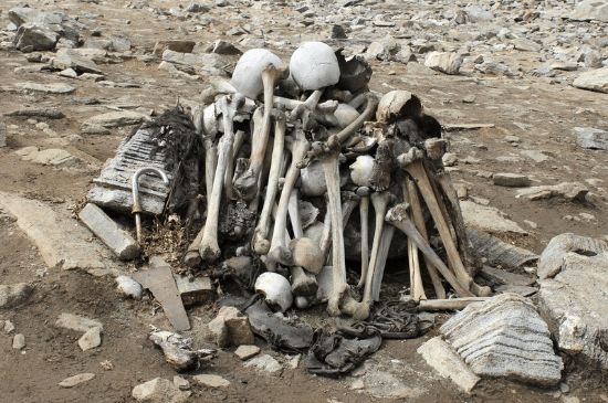 Salinan dari Salinan dari BEFORE_20260112_221618_0007.png