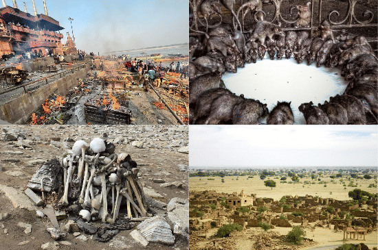 Salinan dari Salinan dari BEFORE_20260112_221617_0000.png