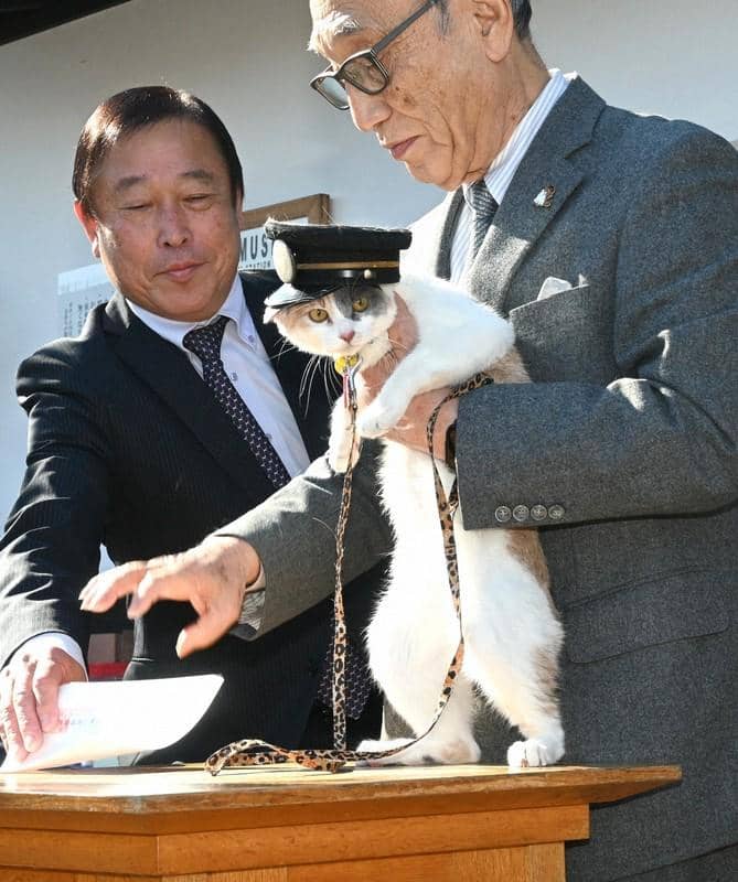 Kepala stasiun kucing jepang