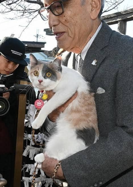 Kepala stasiun kucing jepang