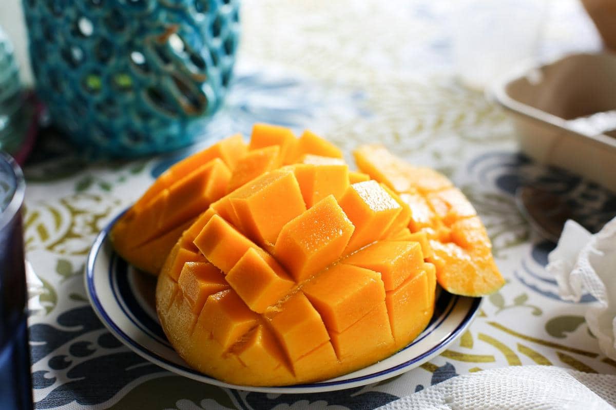 ilustrasi buah mangga