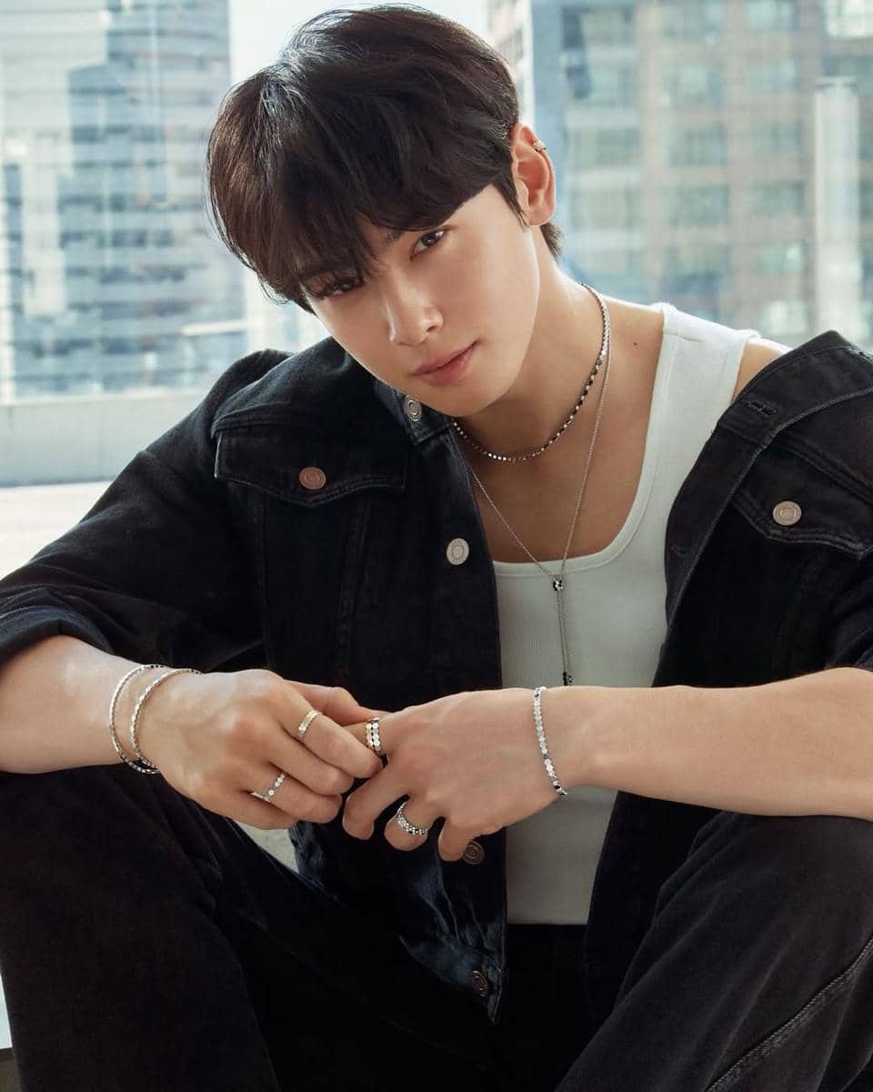 profil dan biodata Cha Eun Woo