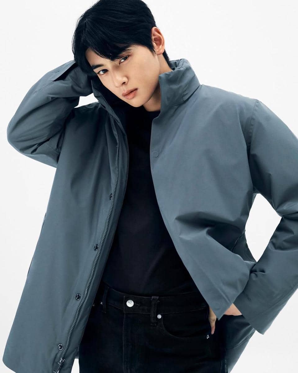 profil dan biodata Cha Eun Woo