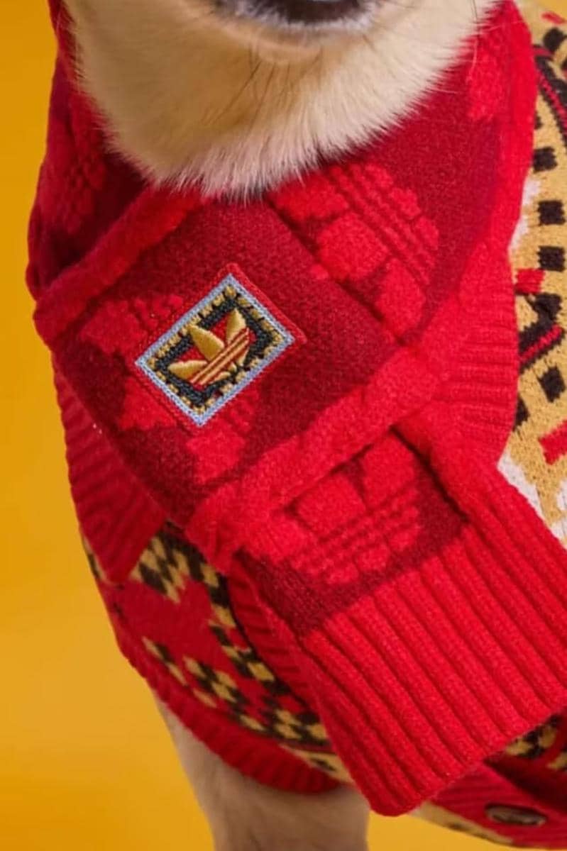 https___hypebeast.com_wp-content_blogs.dir_6_files_2025_12_30_adidas-pets-lunar-new-year-jackets-china-where-to-buy-7.jpg