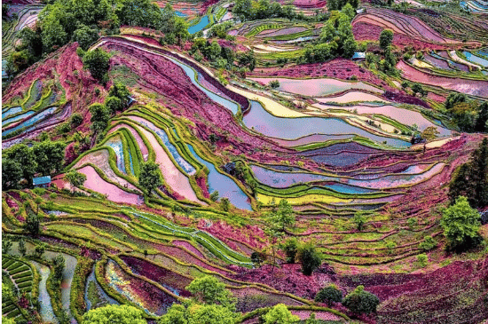 Salinan dari Salinan dari BEFORE_20260123_215925_0006.png