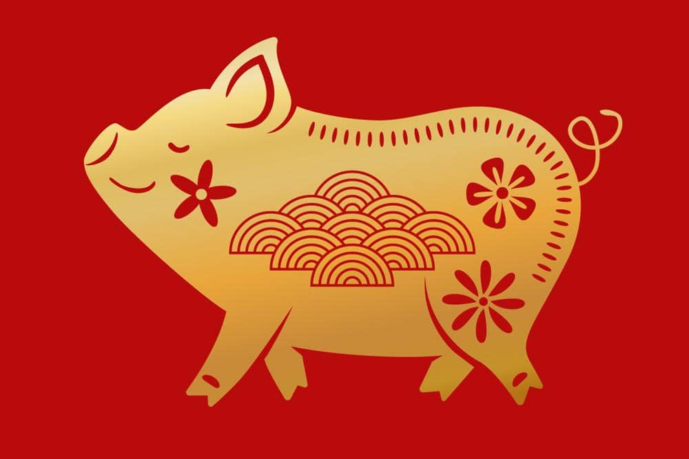 ilustrasi shio babi (freepik.com/zaie)