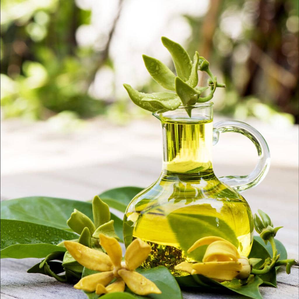 ylang-ylang wangi apa