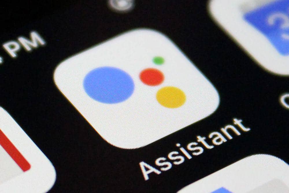 google assistant