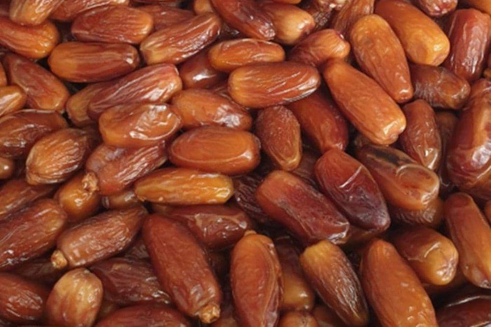 Kurma Tunisia 2.jpg